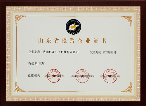 瞪羚企業(yè)
